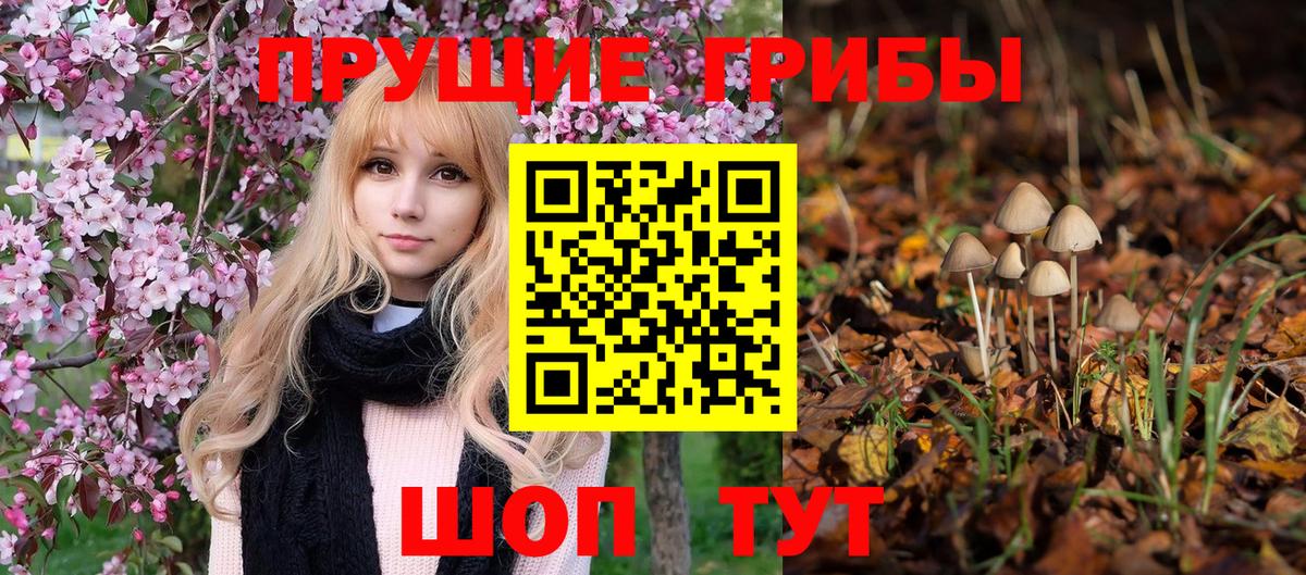 Фурманов  Псилоцибиновые грибы прущие грибы  купить   Галлюциногенные грибы Cubensis  Вход с VPN 