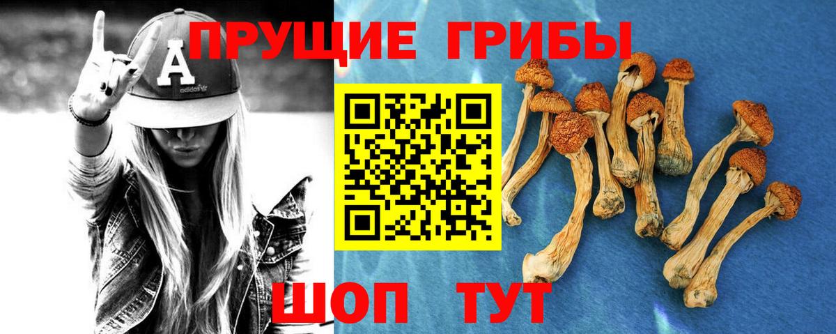 Галлюциногенные грибы прущие грибы Фурманов